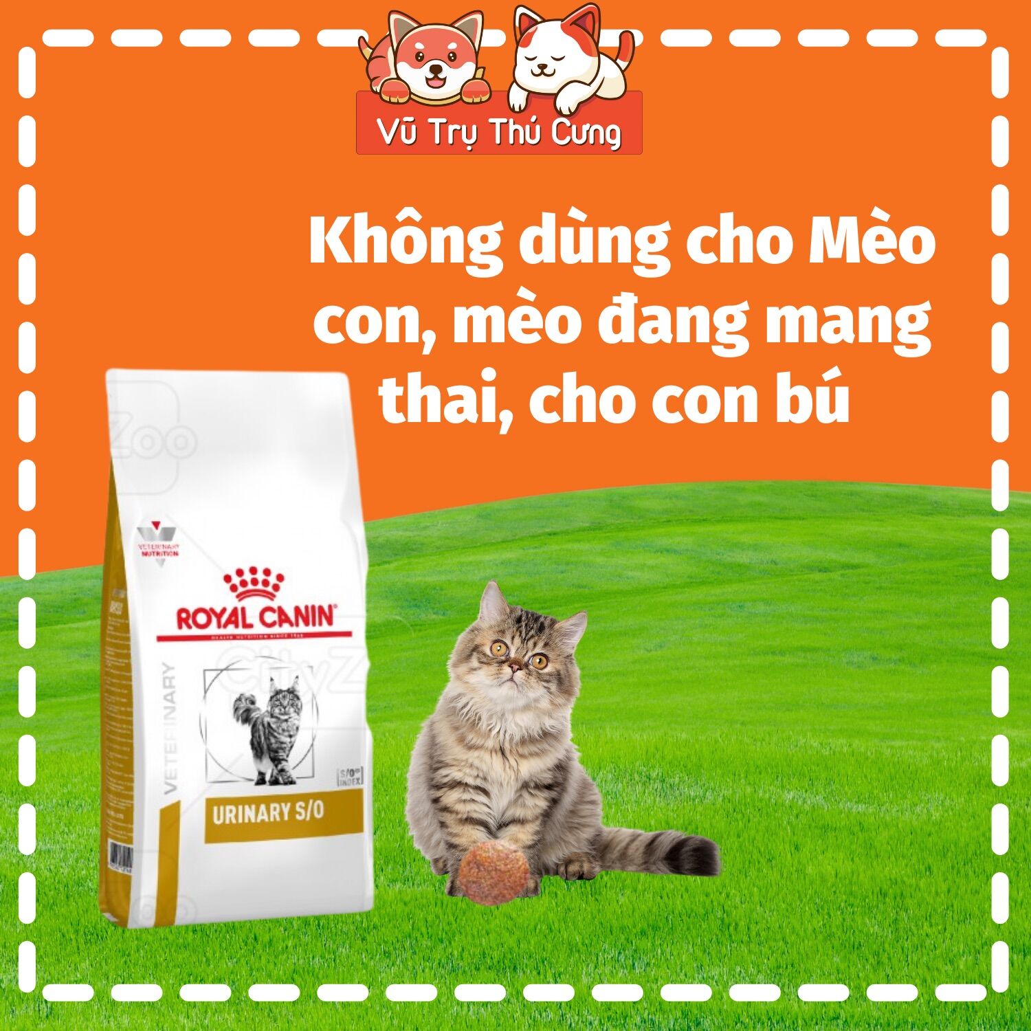 Hạt cho Mèo bị sỏi thận Royal Canin Urinary S/O