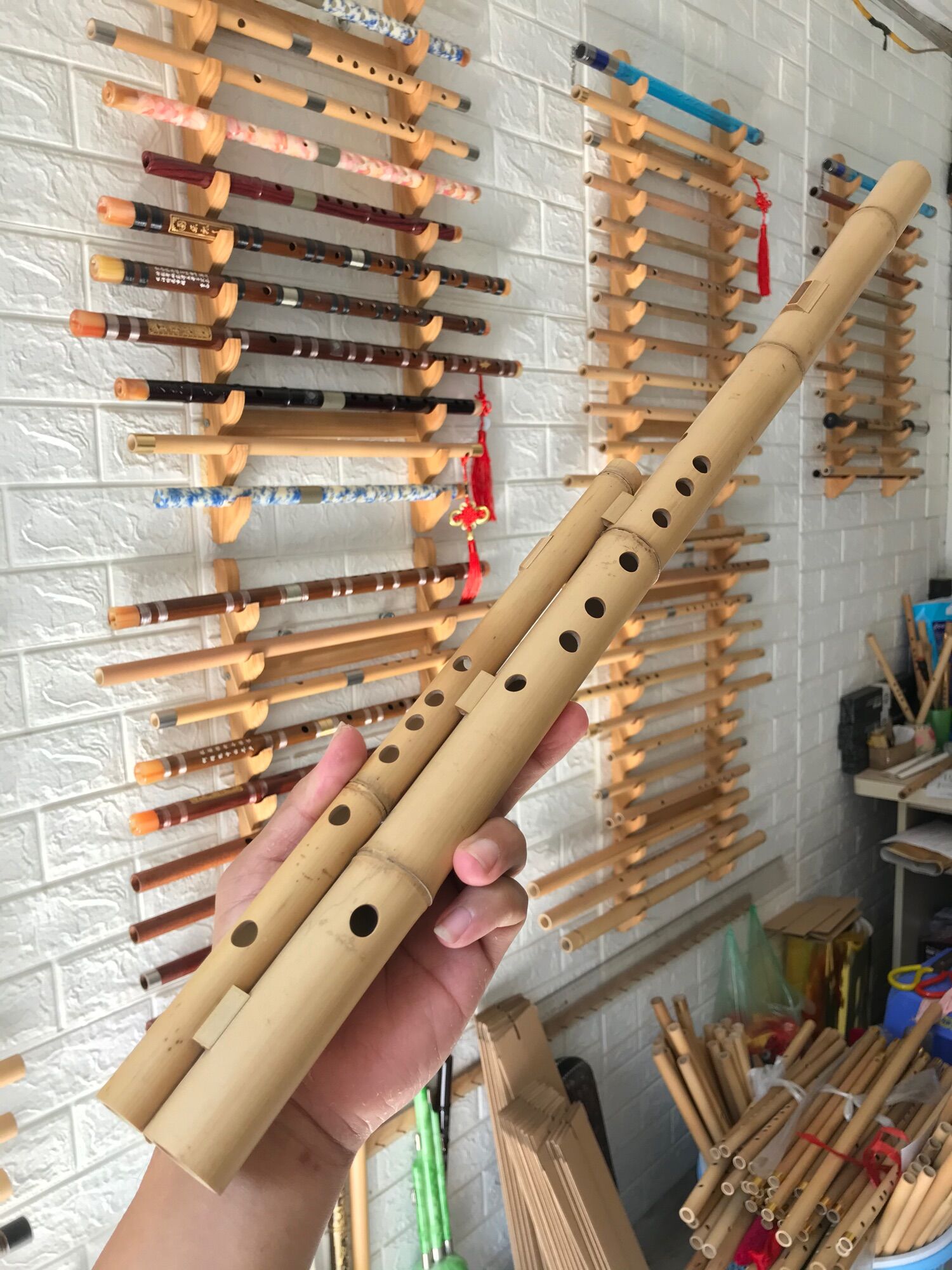 Sáo mèo kép việt