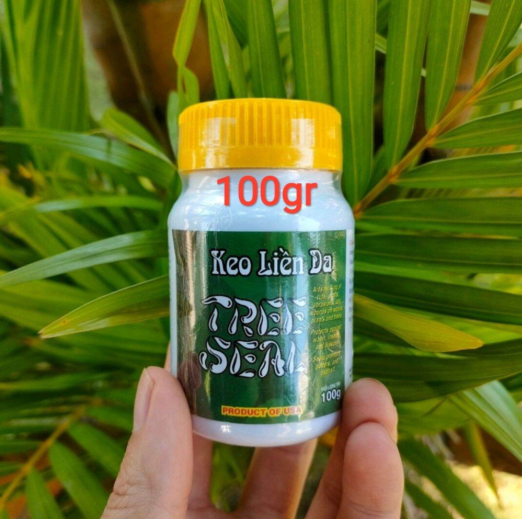 Keo liền sẹo mỹ - keo đen liền da cây Tree Seal
