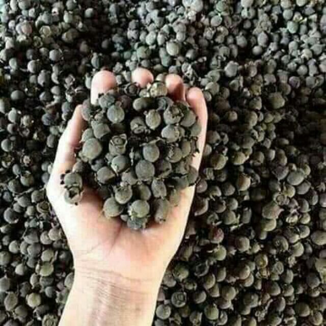 1kg quả sim rừng khô