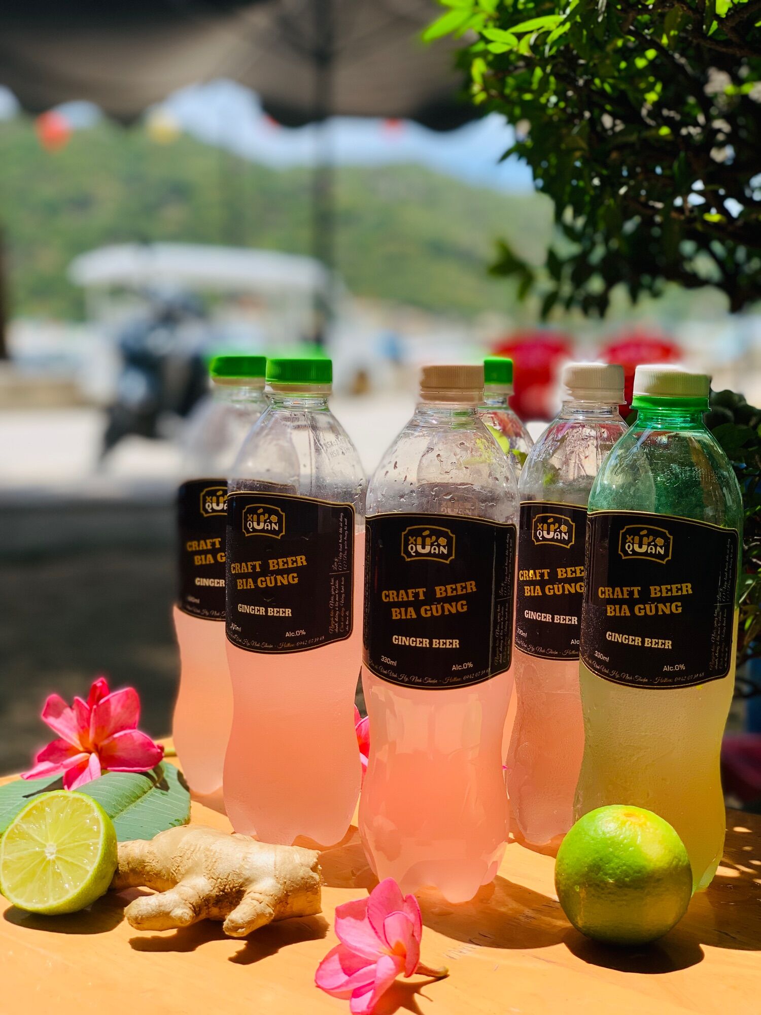 Bia gừng thủ công - Gingger bia không cồn