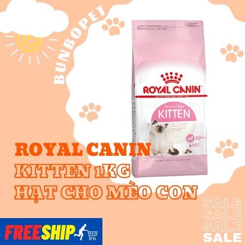 Royal canin kitten - hạt cho mèo con từ 4-12 tháng