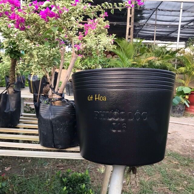 Chậu nhựa đen C16(40x32cm) size lớn nhất