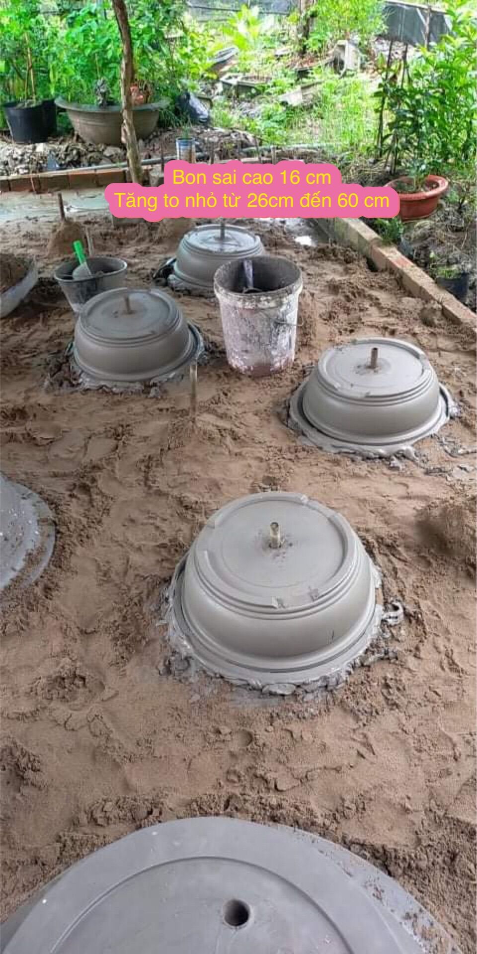 Khuôn chậu cảnh : khuôn đa năng quay được chậu đường kính 26 cm đến 60cm ,chậu cao 16 cm