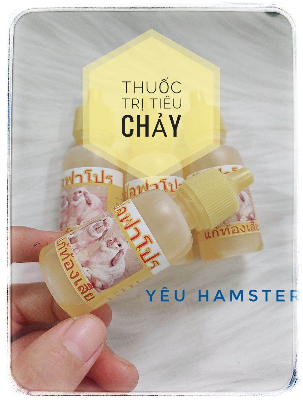 Dung dịch hỗ trợ tiêu chảy cho Hamster, thú cưng