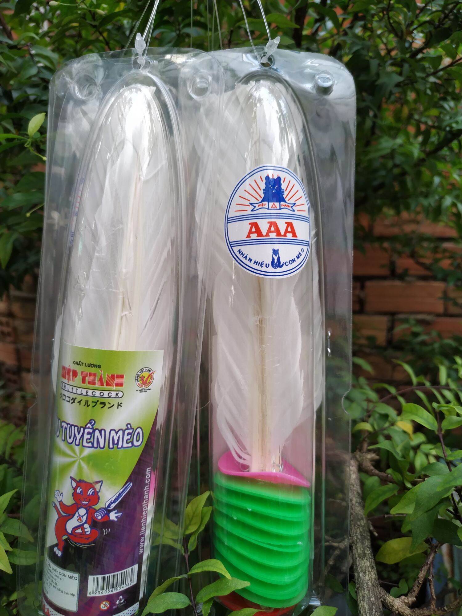 Cầu Đá Lông Gà Hiệp Thành AAA