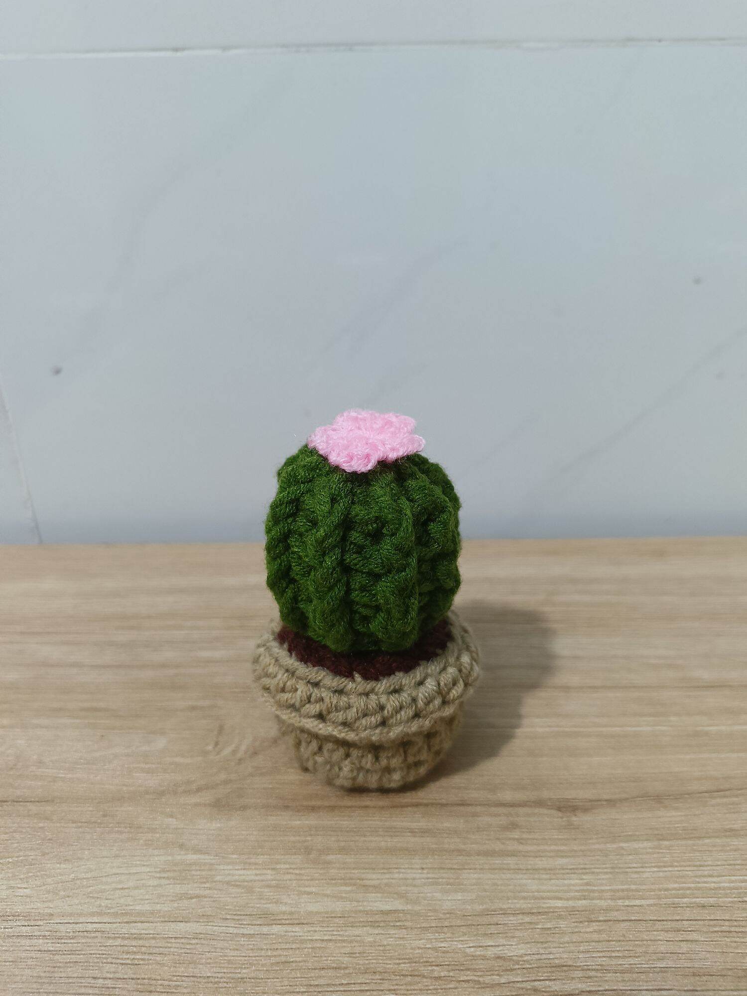 Chậu hoa mini xinh xắn