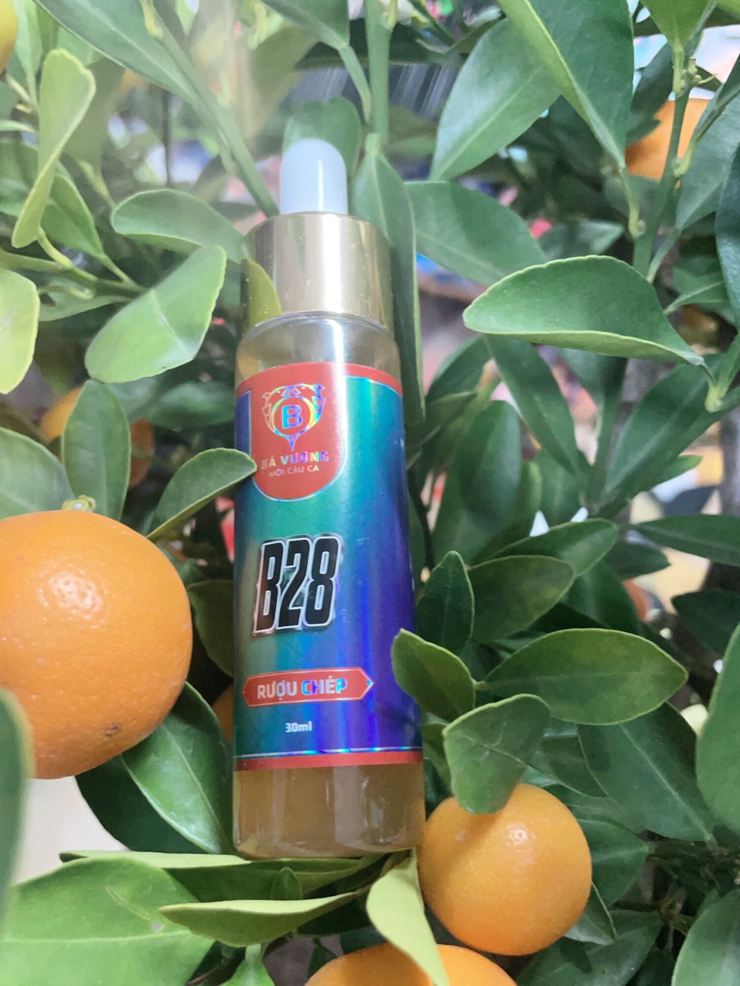 Tinh mùi câu cá bá vương b28-riệu chép...hiệu quả cao