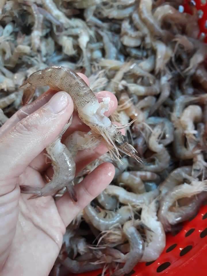 Mắm tép trộn đu đủ 500g