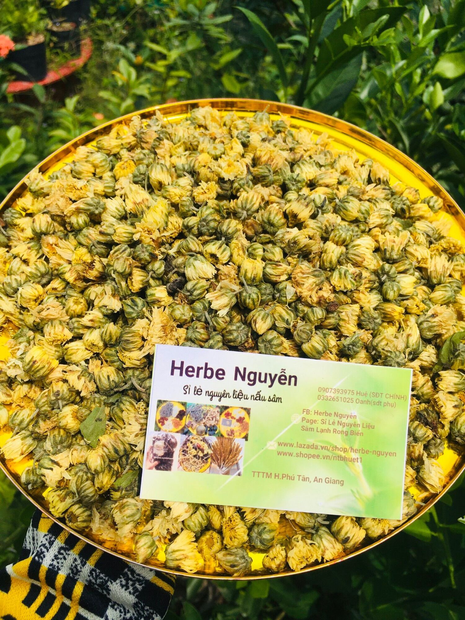 Hoa cúc nụ vàng sấy khô 100g (không chua)