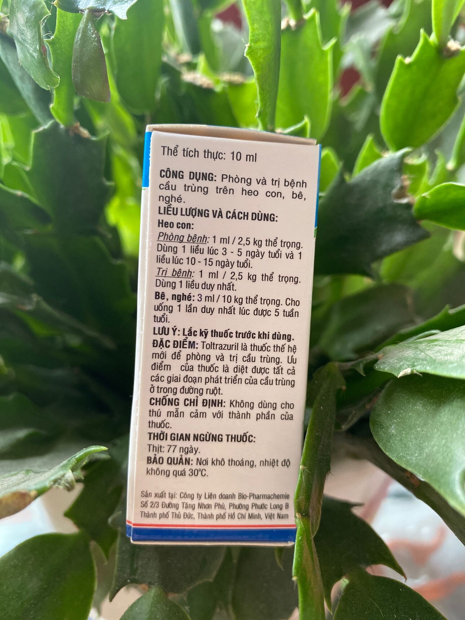 Bio Coc 10ml - Cầu Trùng trên Heo con, Bê, Nghé