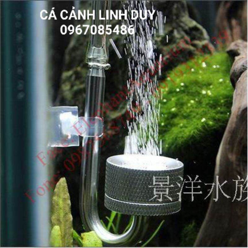 Cốc sủi nhôm , cốc sủi co2 thủy sinh , cốc sủi mufan