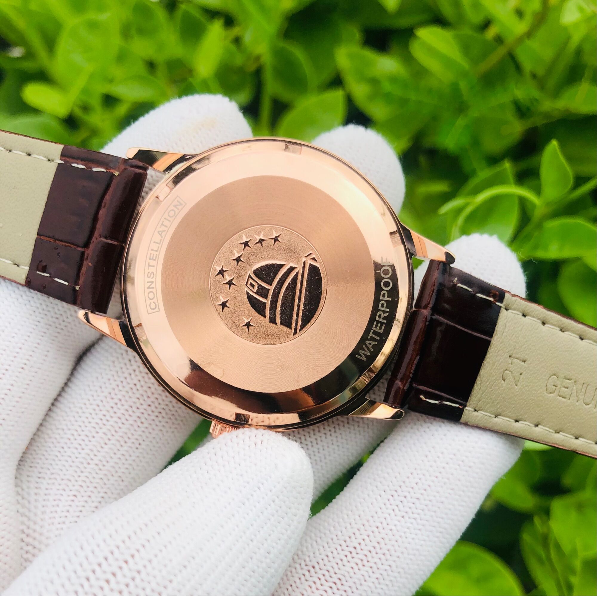 Omega Contelesion