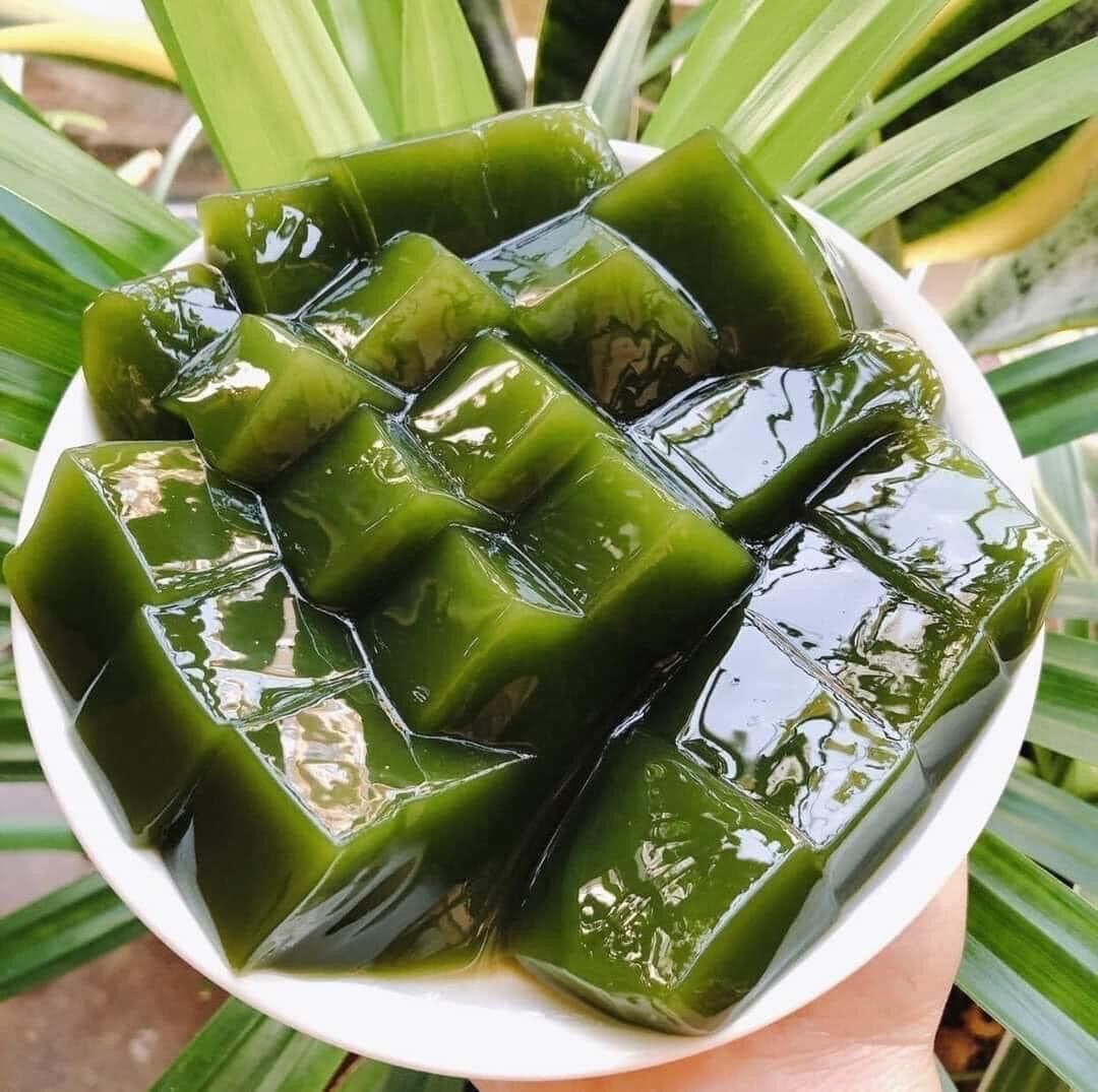 Cây giống sương sâm
