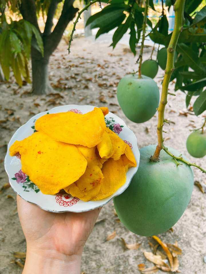 Xoài sấy dẻo