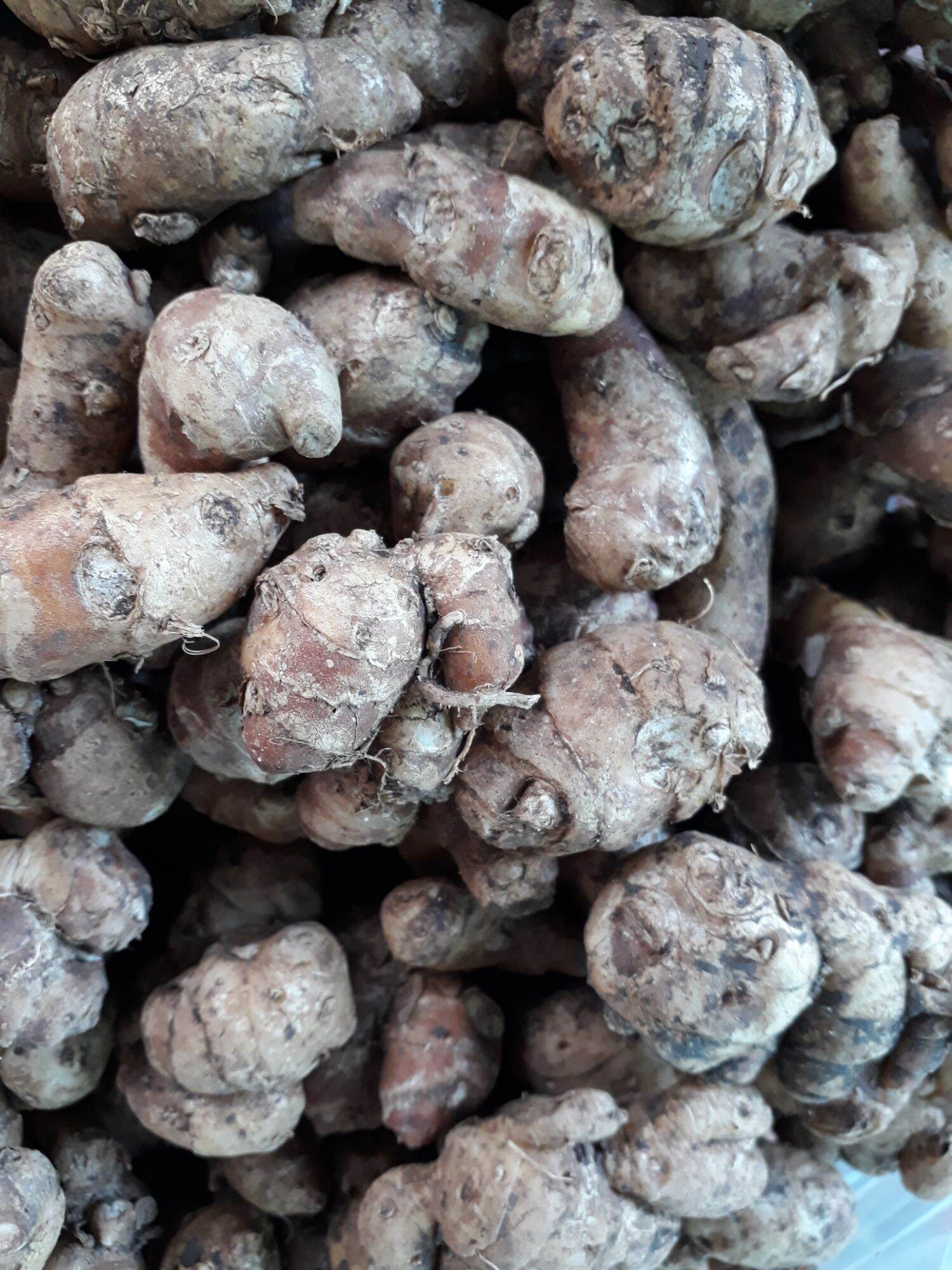 địa liền tươi ( 500 g )