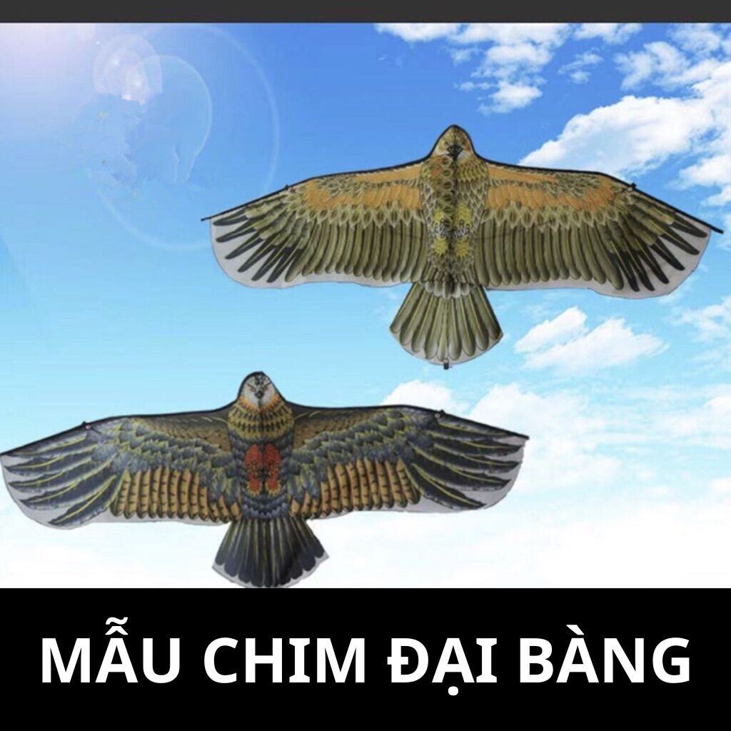 Diều, diều đại bàng, 1.3 mét