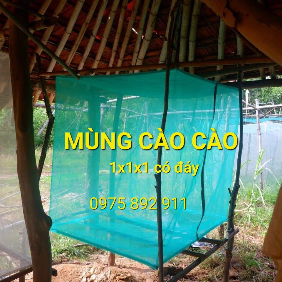 Mùng lưới nuôi cào cào, lồng lưới nuôi châu chấu 1x1x1 có đáy