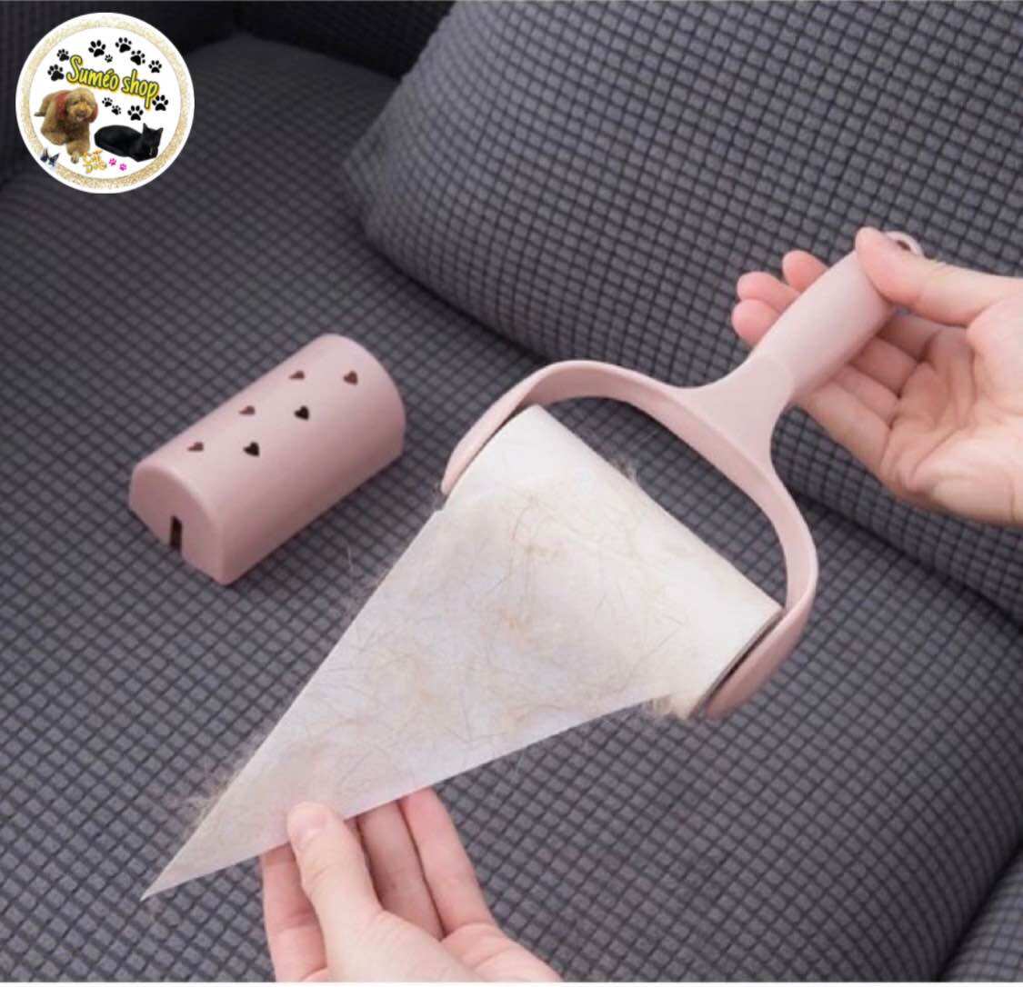 CÂY LĂN LÔNG CHÓ MÈO SIÊU SẠCH