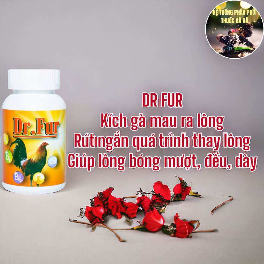 Thuốc gà đá dr fur kích thích mọc lông rút ngắn quá trình thay lông 100 viên