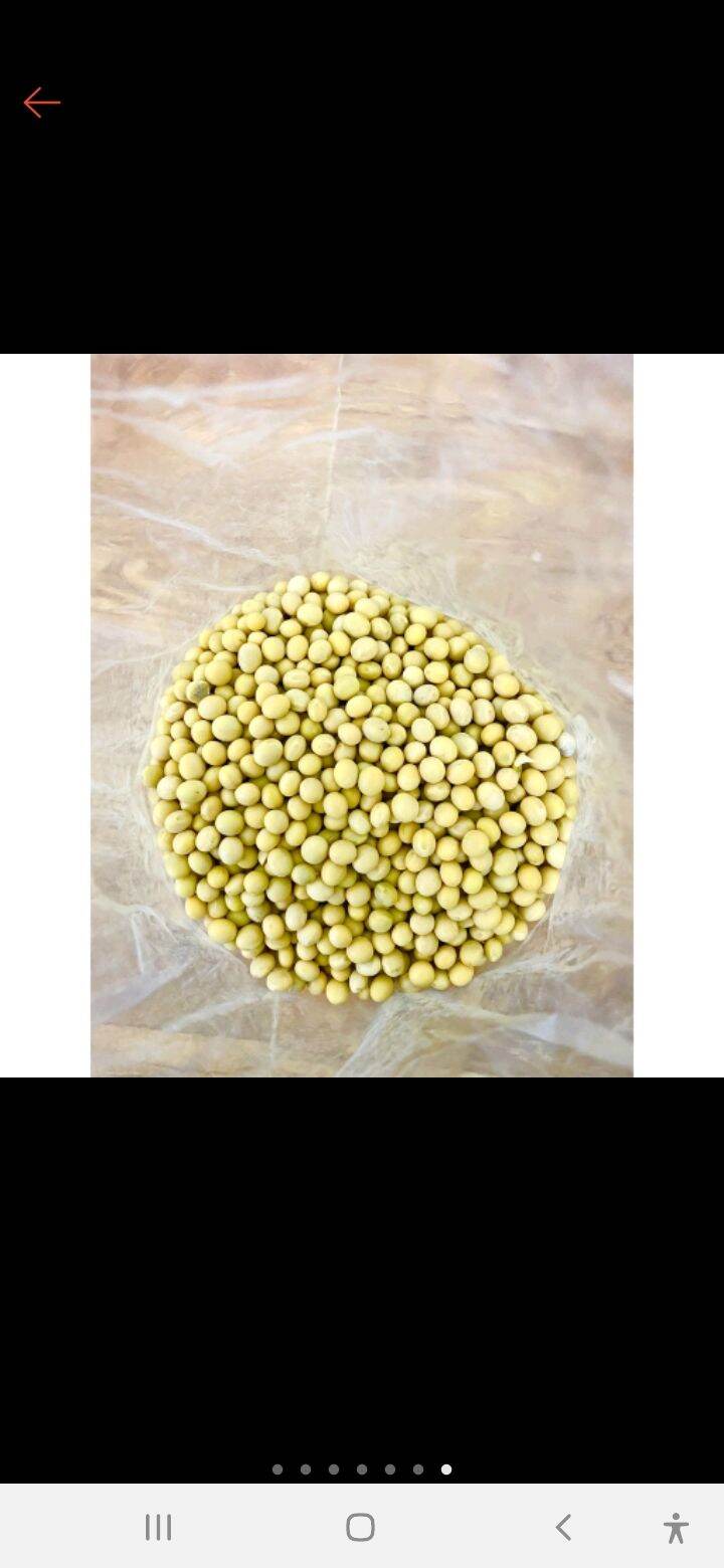 Đậu nành 1 kg