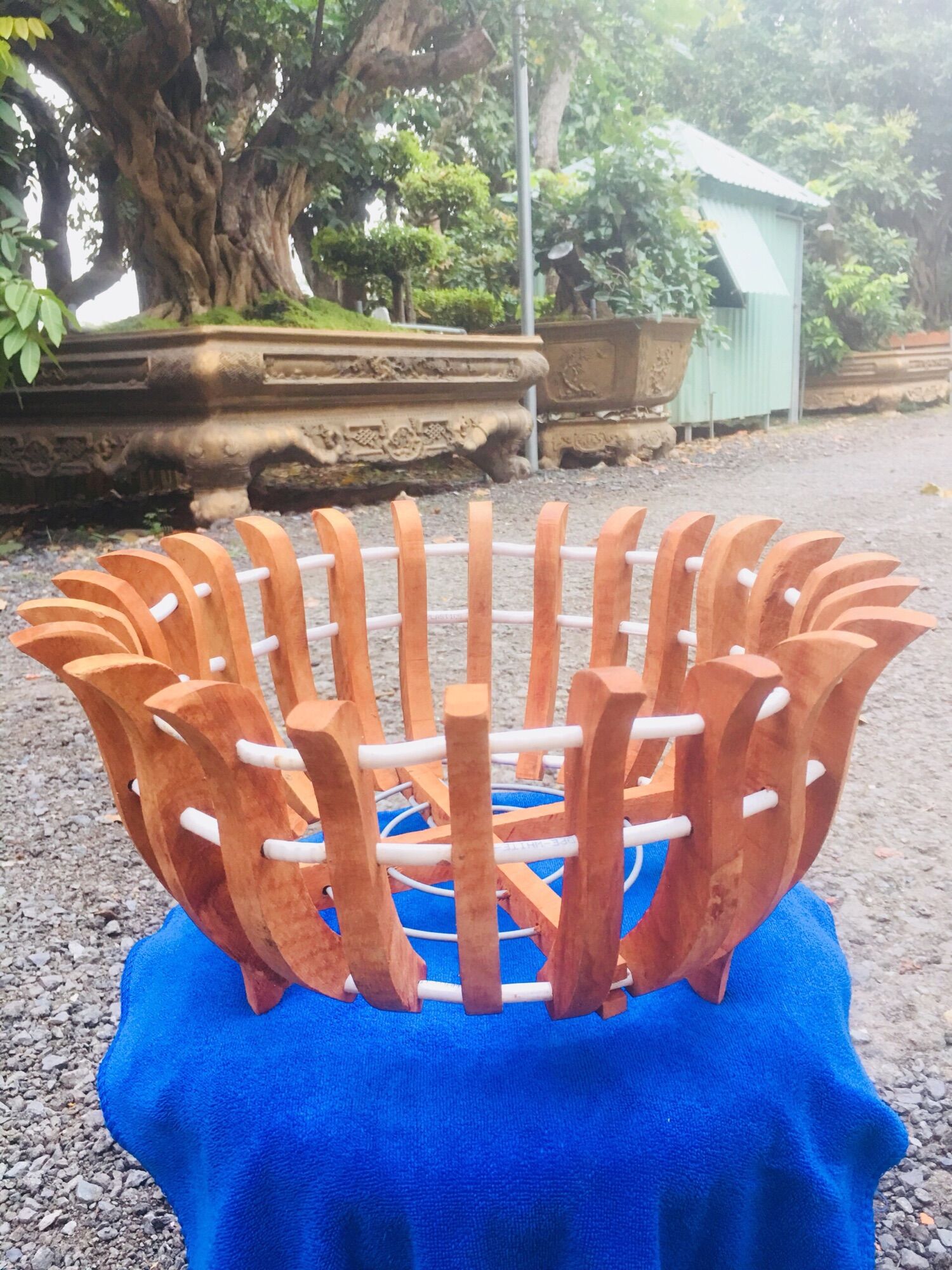 Chậu gỗ căm xe trồng lan phi 30cm