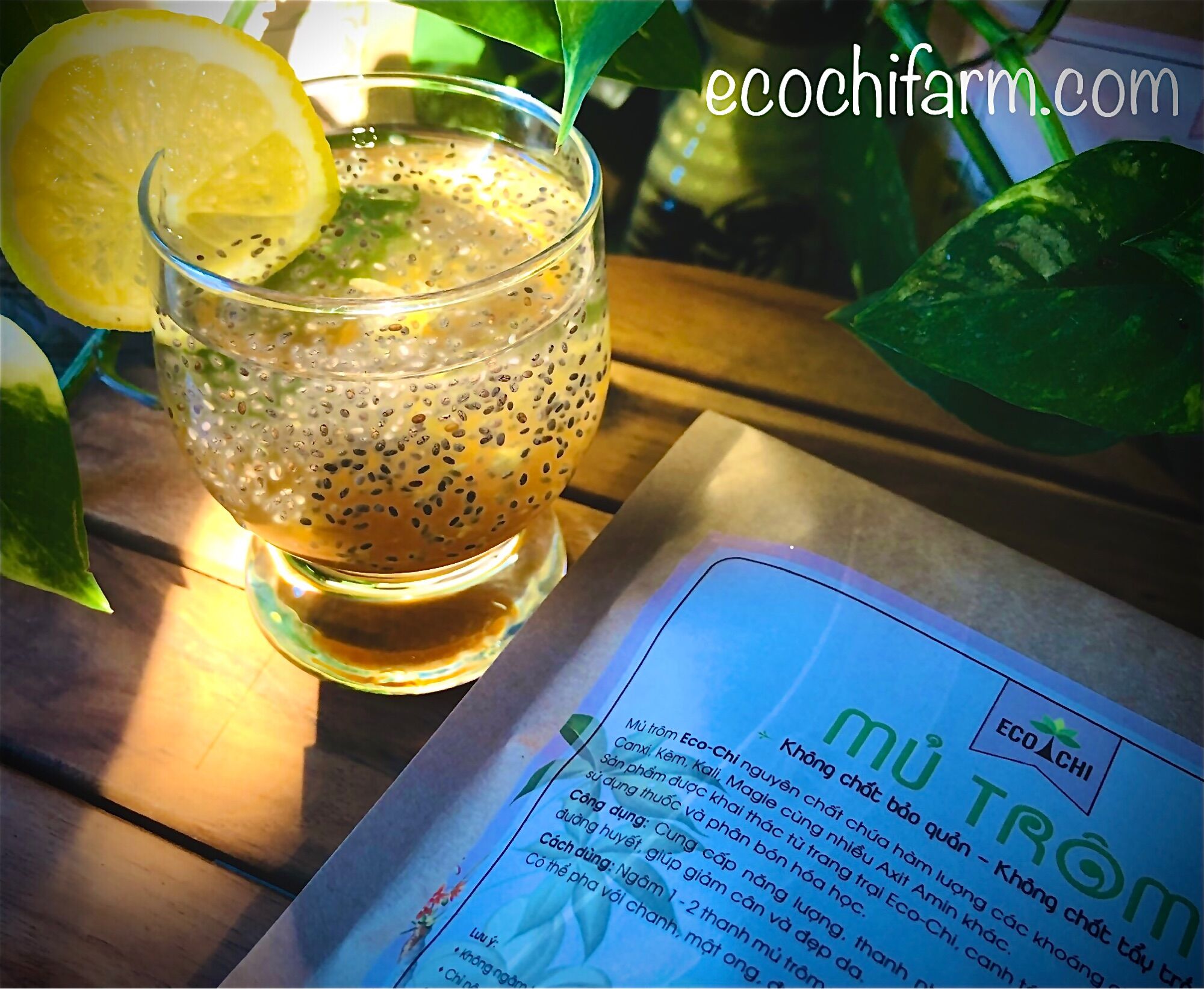 Combo 3 túi mủ trôm sạch nguyên chất Ecochi (350g x 3)