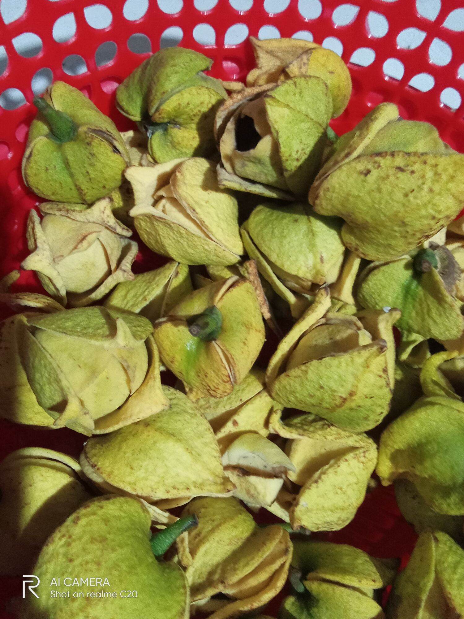 Trà hoa mãng cầu 200k/500g túi zip