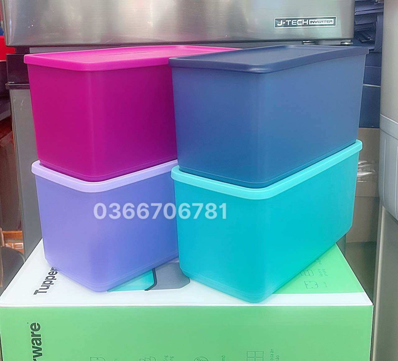 Bộ Hộp Trữ Mát Funtastic 3.1L (MÀU NGẪU NHIÊN)