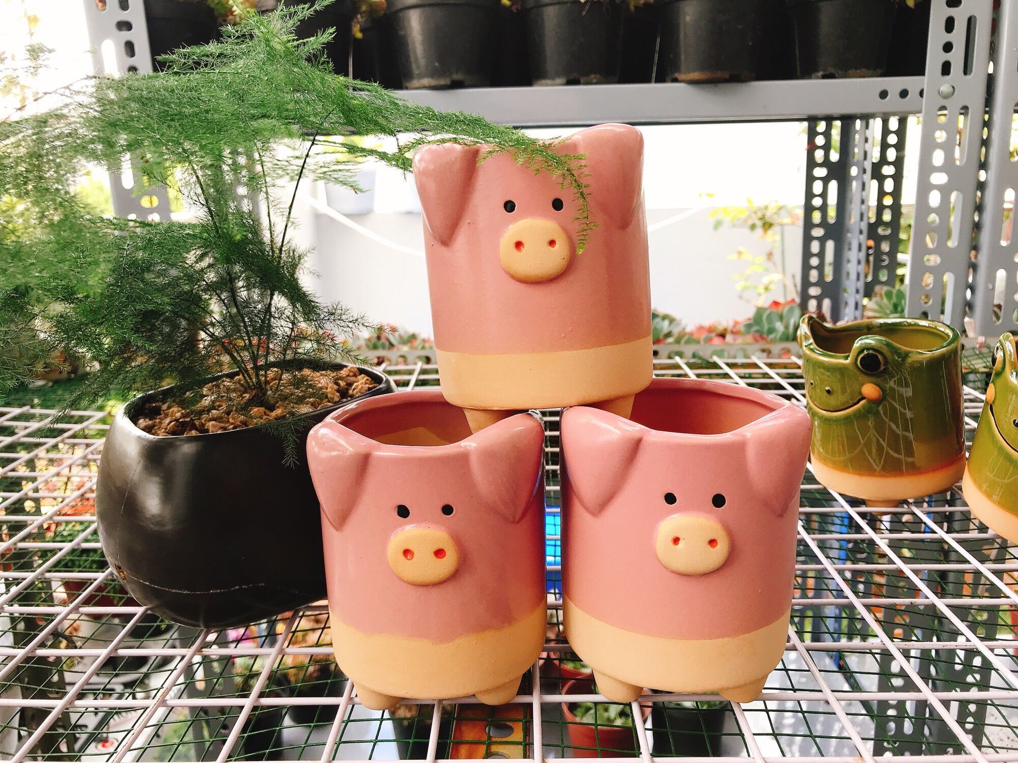 [HCM]Chậu hình thú siêu kutee thích hợp trồng sen đá sương rồng có lỗ thoát nước