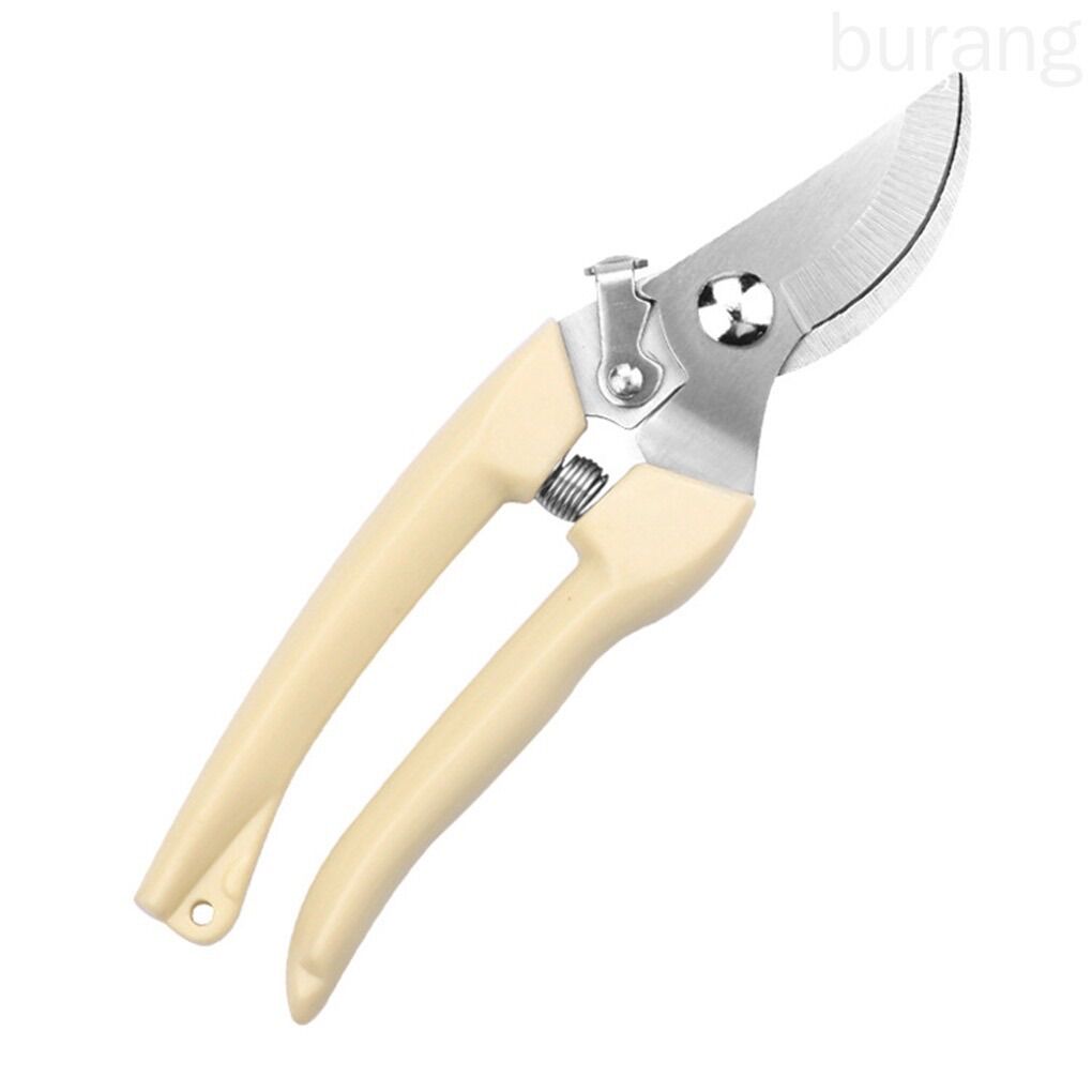 Kéo cắt tỉa cành cây giá rẻ