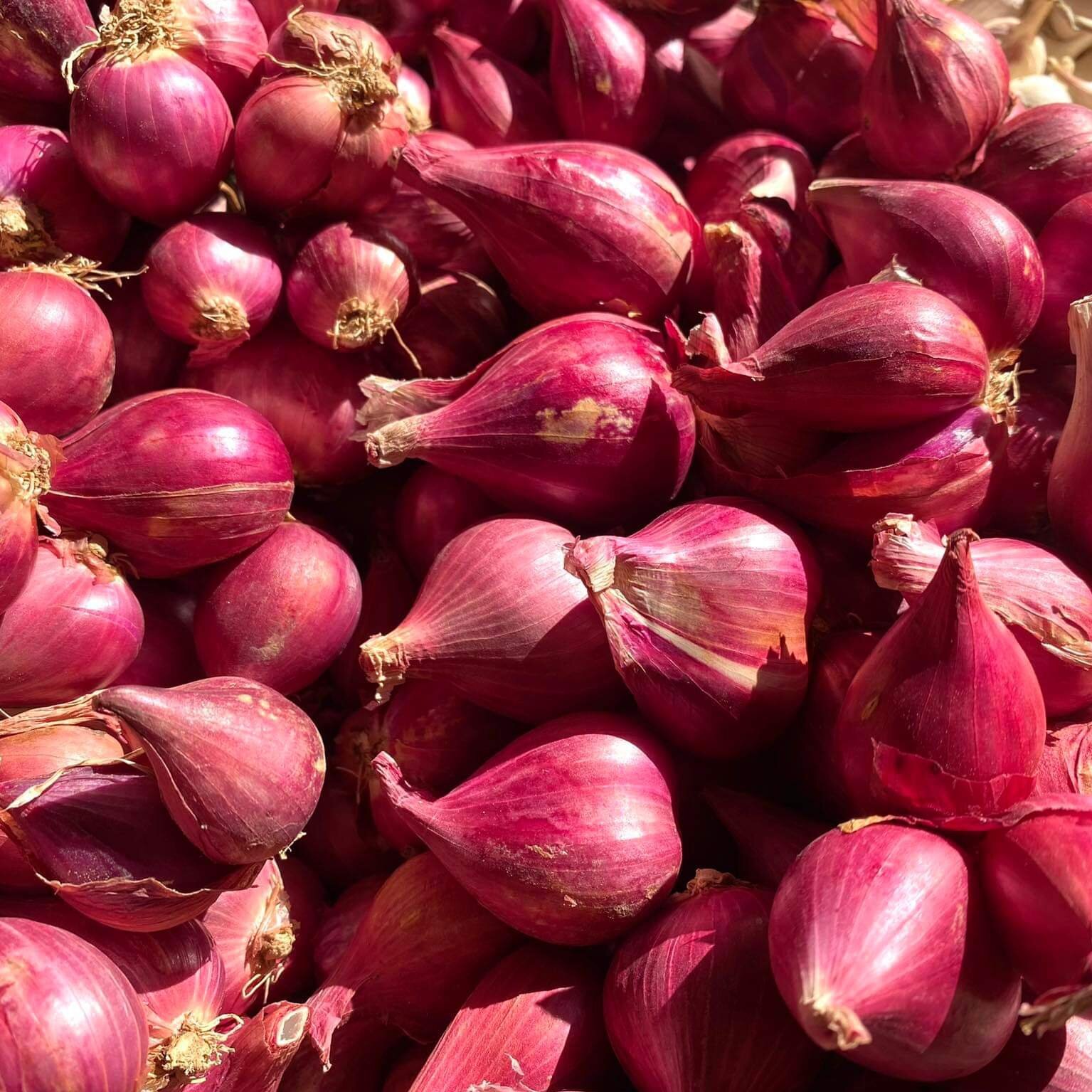 Hành tím Phan Rang chất lượng 1kg