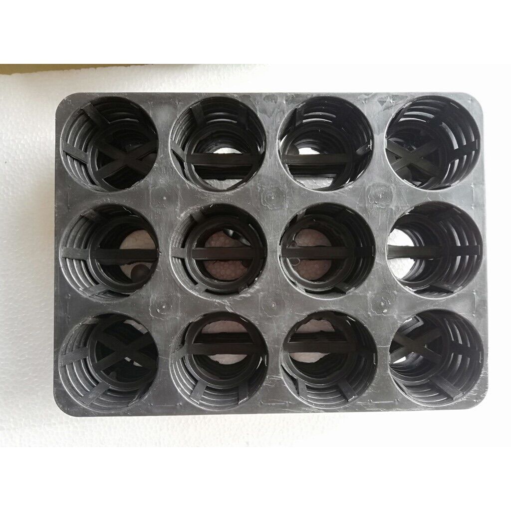 10 Khay ươm lan 12 lỗ