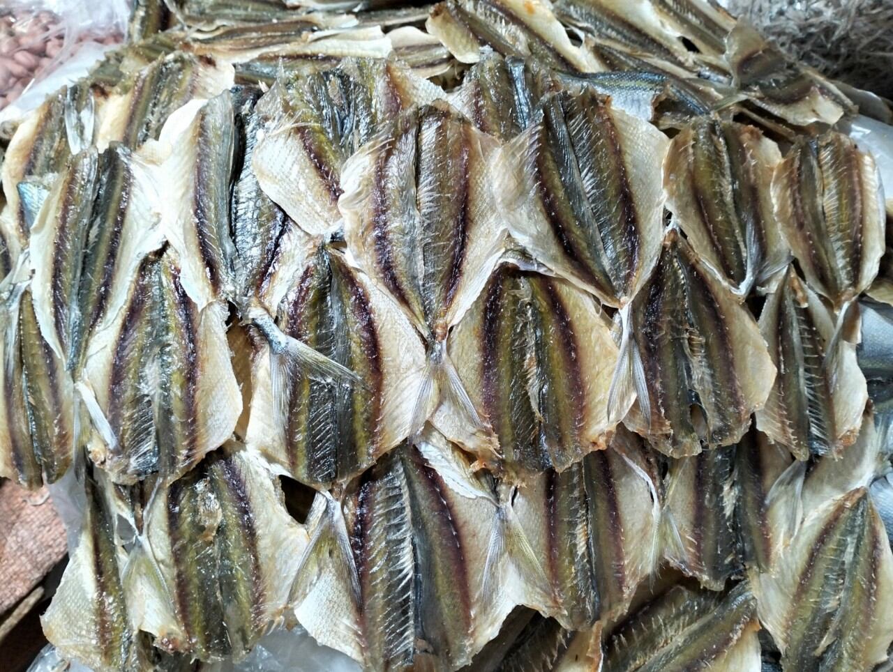 0.5 kg cá chỉ vàng Cửa Lò ( chuẩn 2 chỉ vàng trên lưng)