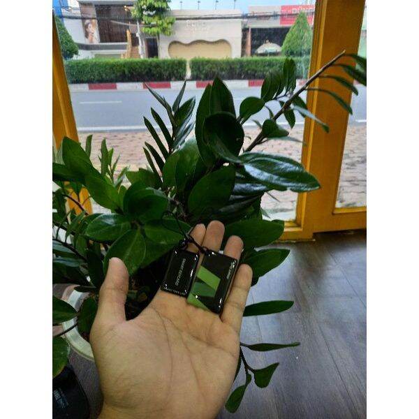 Thẻ từ khóa vân tay