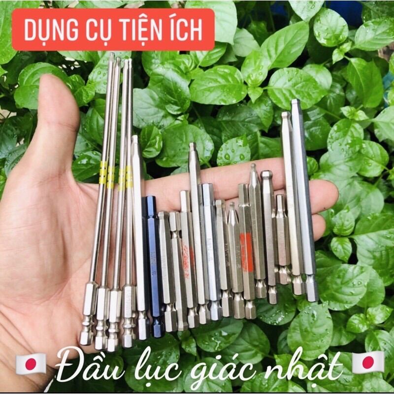 Đầu lục giác Eight Nhật
