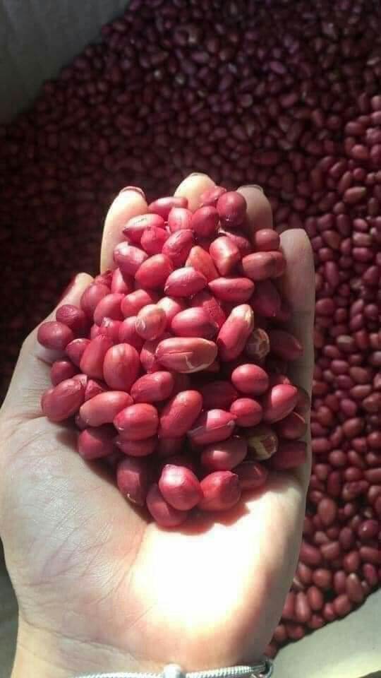 Lạc Đỏ Tây Bắc 1kg