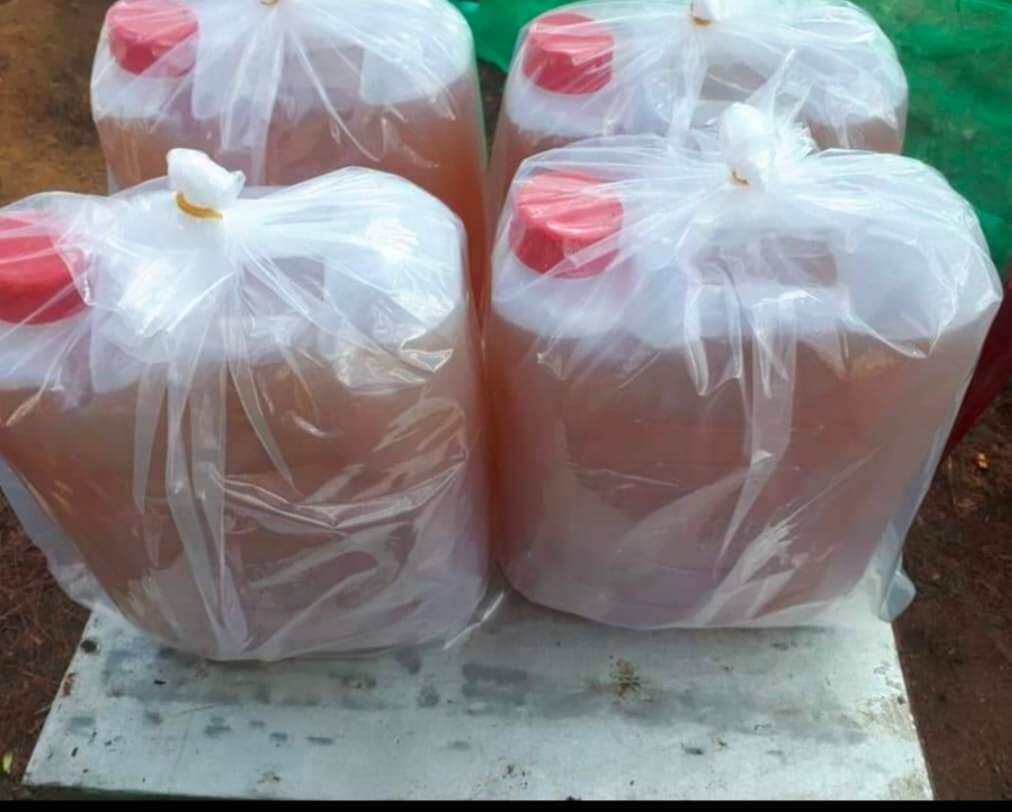 Mật ong hoa cà phê Lâm Đồng