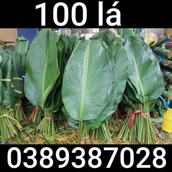 Lá dong 50 lá loại lớn và 50 lạt buộc
