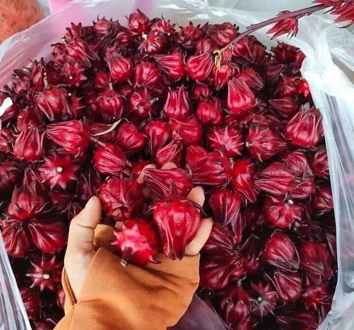 500gr atiso đỏ ngâm đường phèn