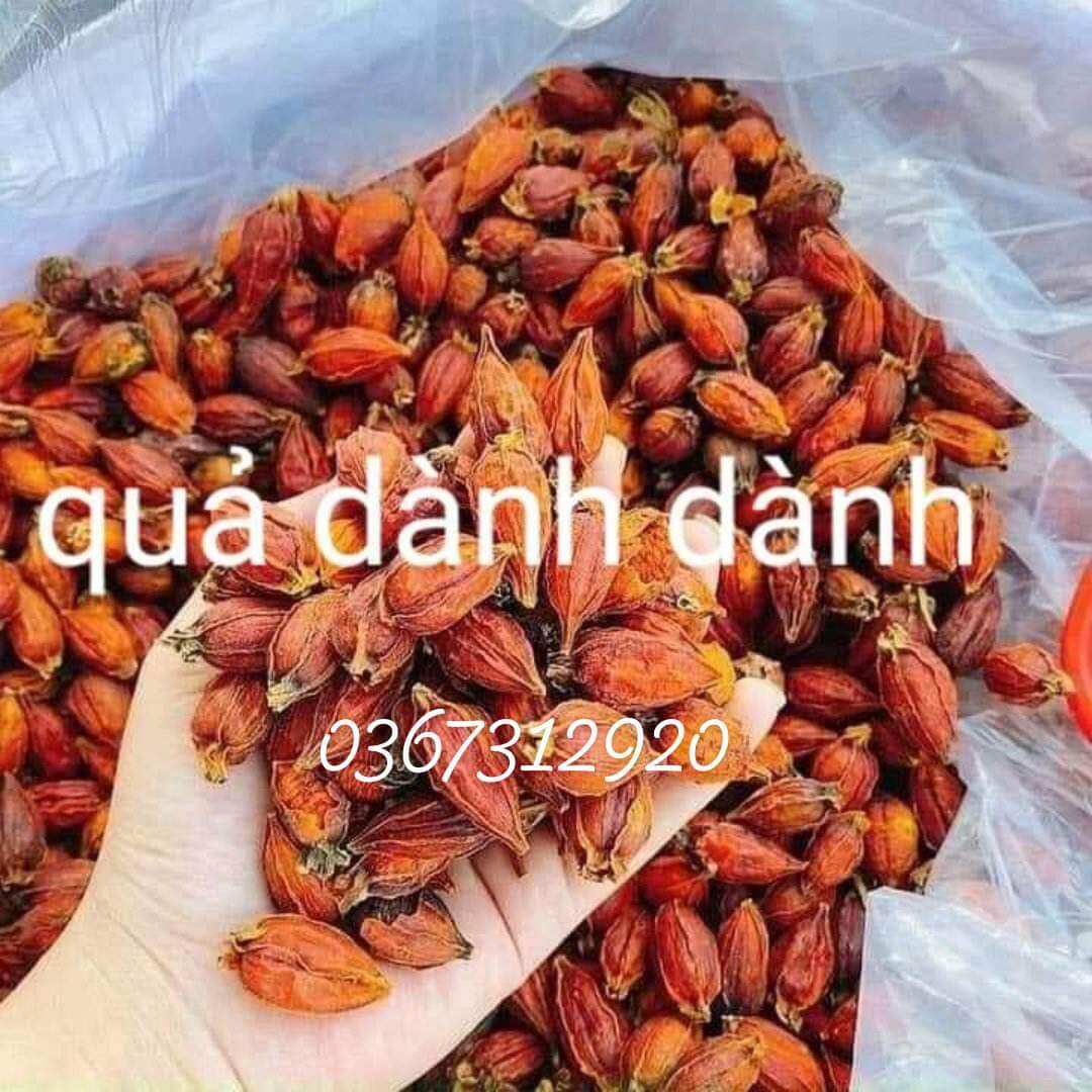 Quả dành dành khô tạo màu vàng cho sôi.chè 100gr