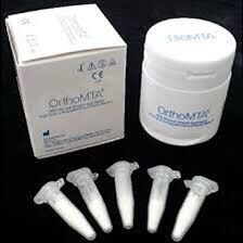 Orthomta. trám bít tủy răng bị nhiễm trùng . ống 0.2g