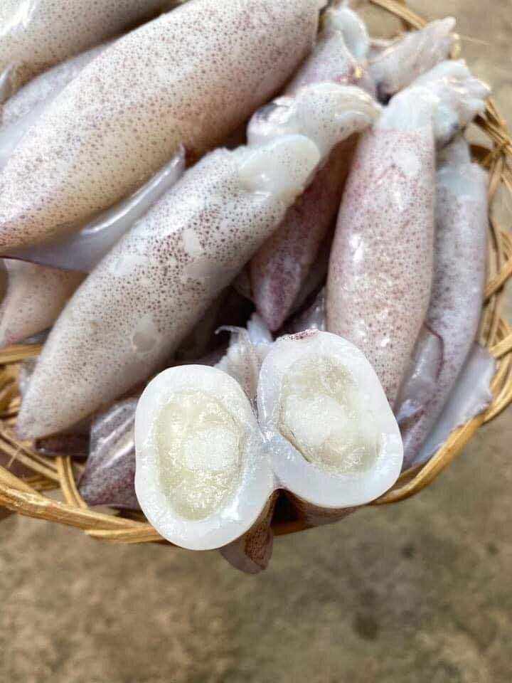 1kg mực full trứng (hỏa tốc tphcm)