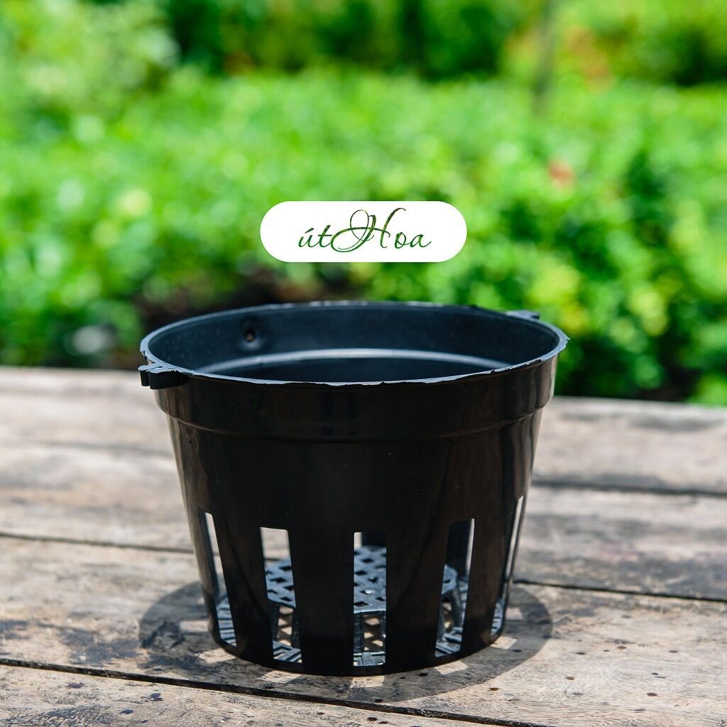 Combo 50 Chậu Trồng Lan Đen Đk 12Cm/14Cm/16Cm