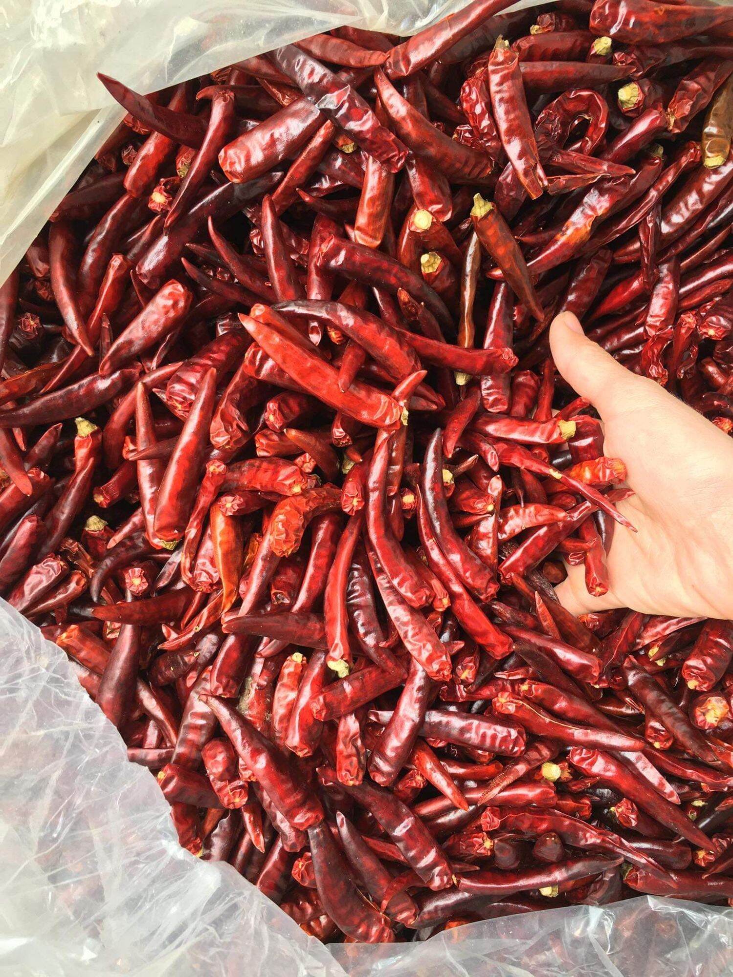 Ớt khô nguyên quả 500g