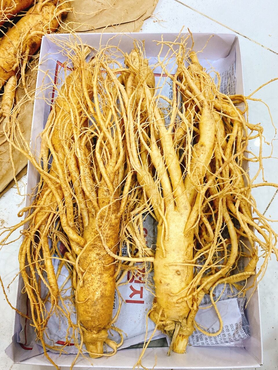 [HCM] 1 Củ Sâm tươi Hàn Quốc loại 5 củ 1kg