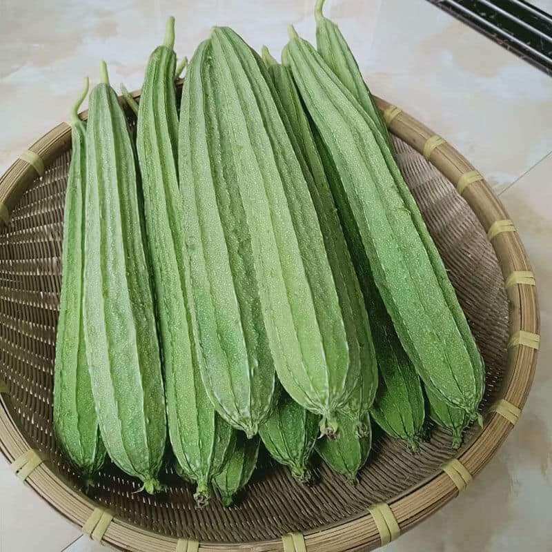 Hạt mướp khía Thái Lan 15 hạt