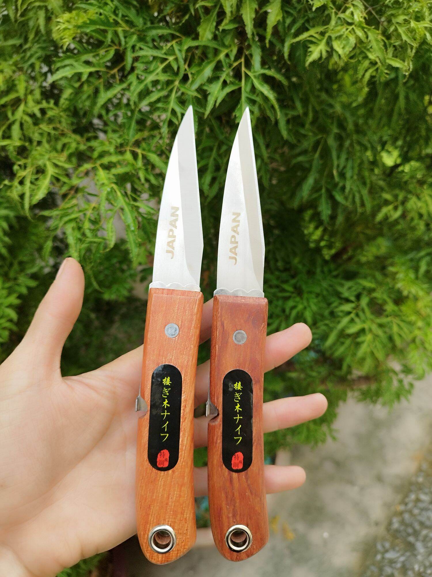 Dao nhật cắt ghép cành cây