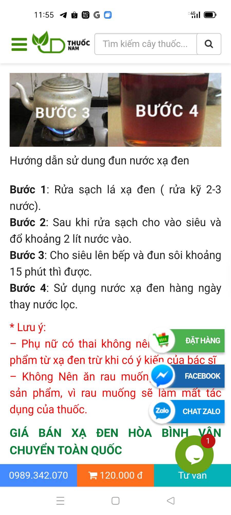 Cây giống xạ đen