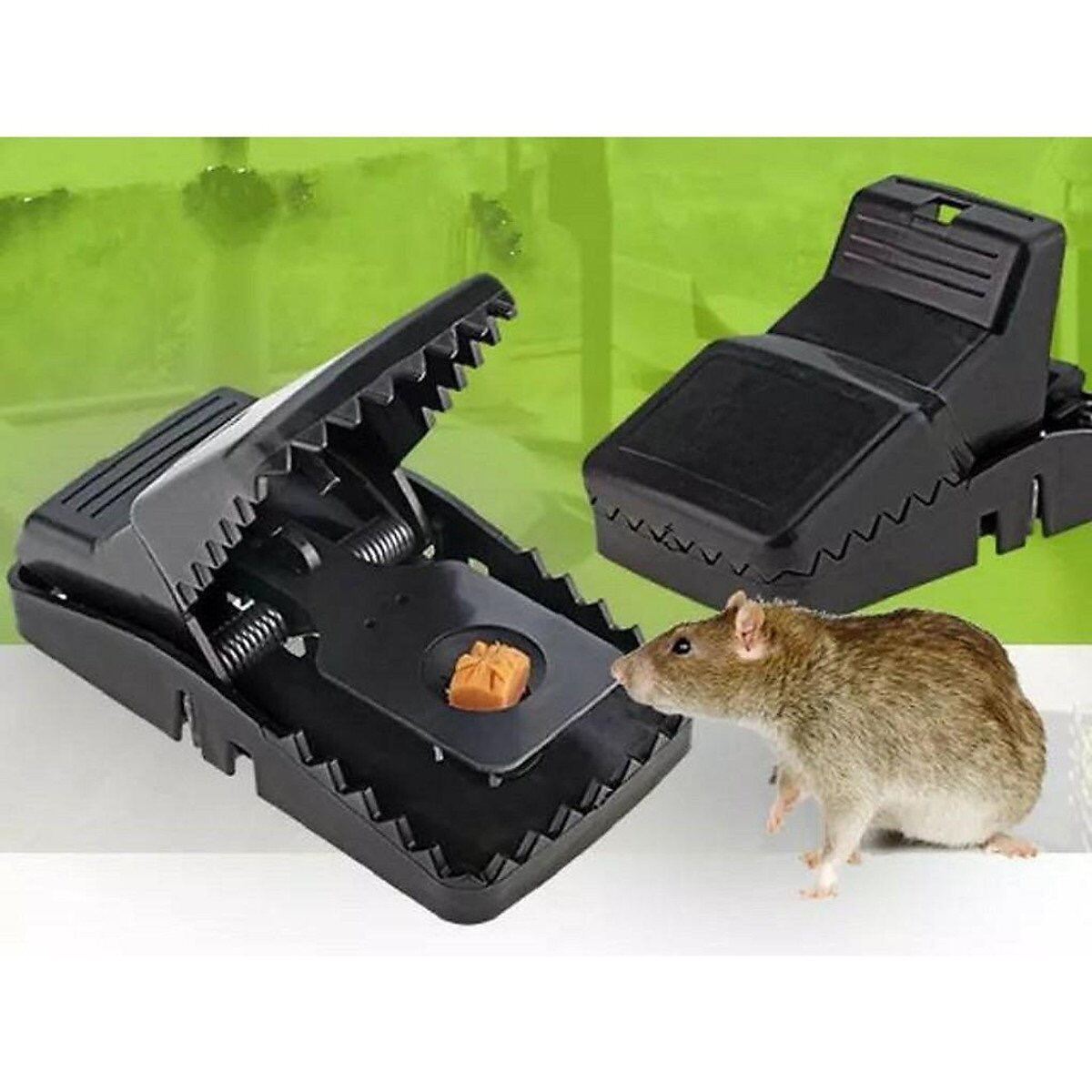 Bẫy bắt chuột- bẫy chuột cơ tái sử dụng nhiều lần